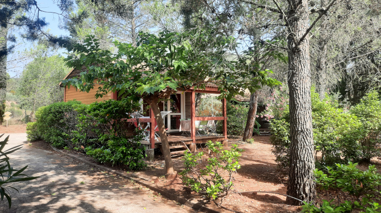 Chalet rental 2 to 4 persons near Lake Salagou